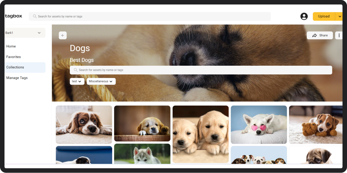 Tagbox.io Screenshot