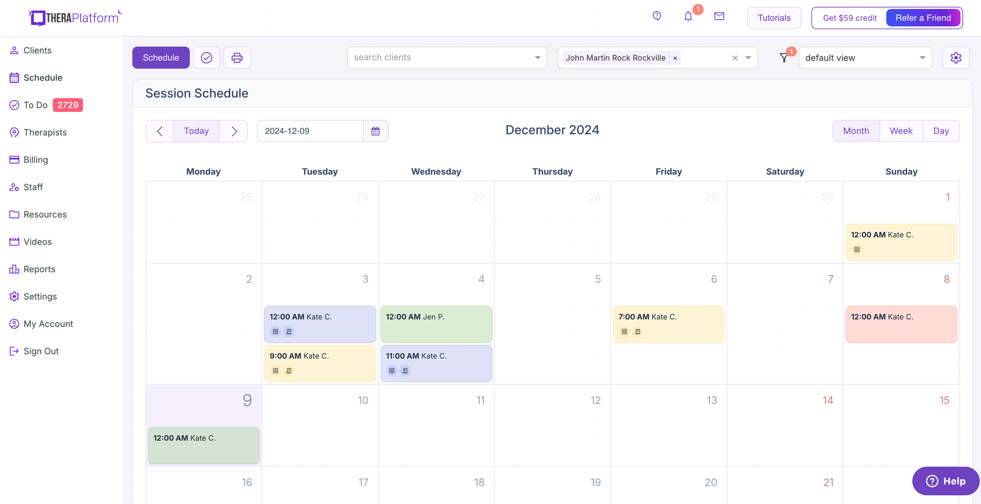 TheraPlatform Screenshot