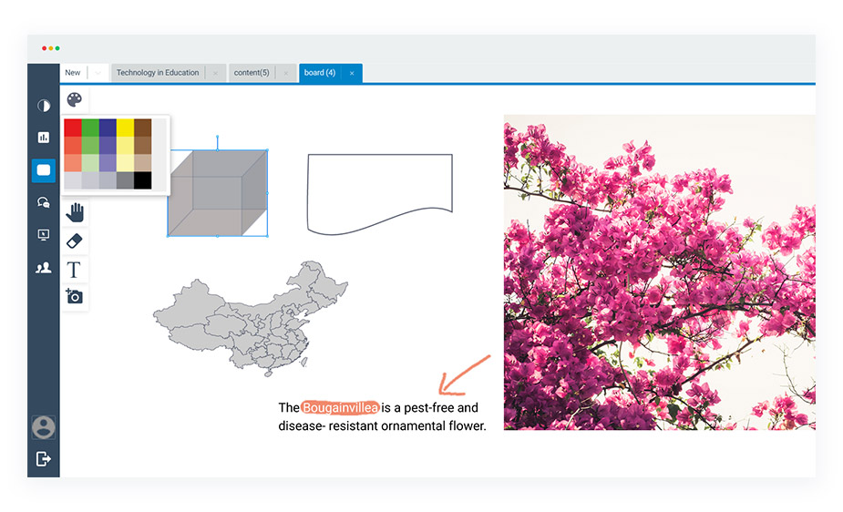 WizIQ Screenshot
