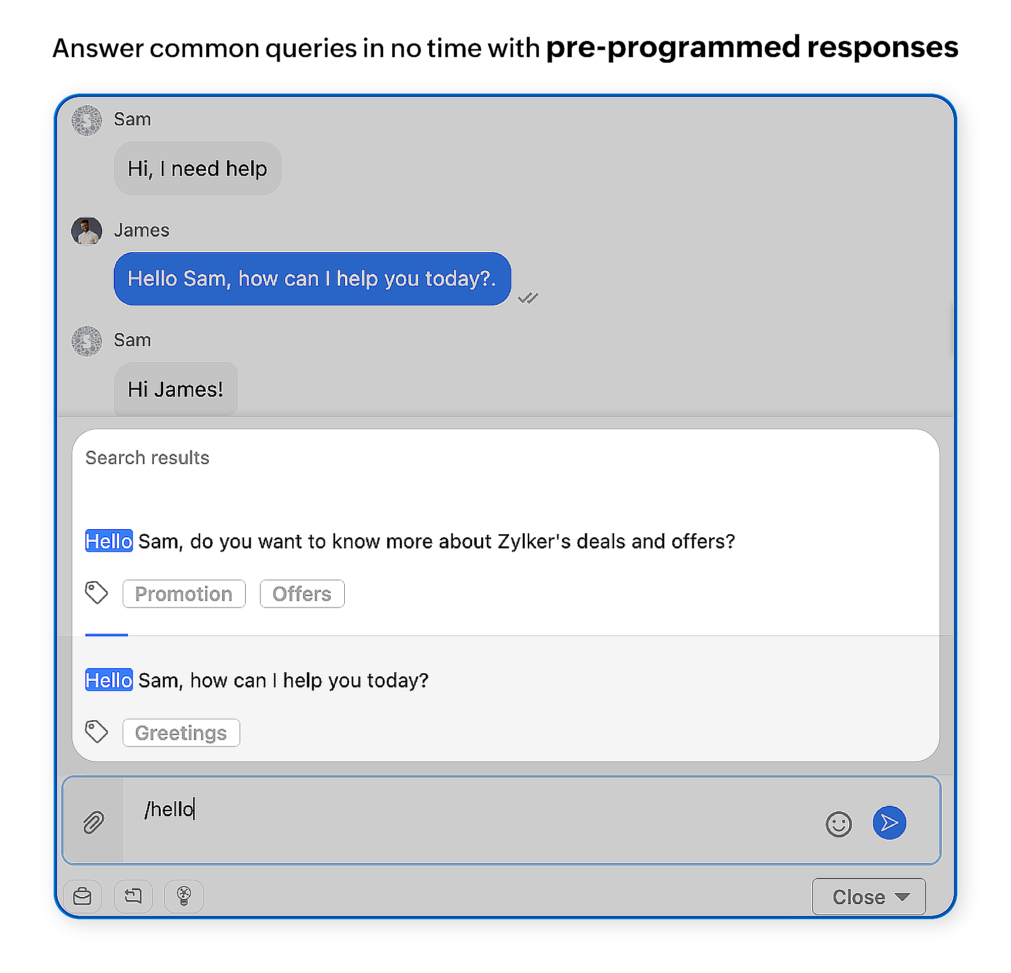 Zoho SalesIQ Screenshot
