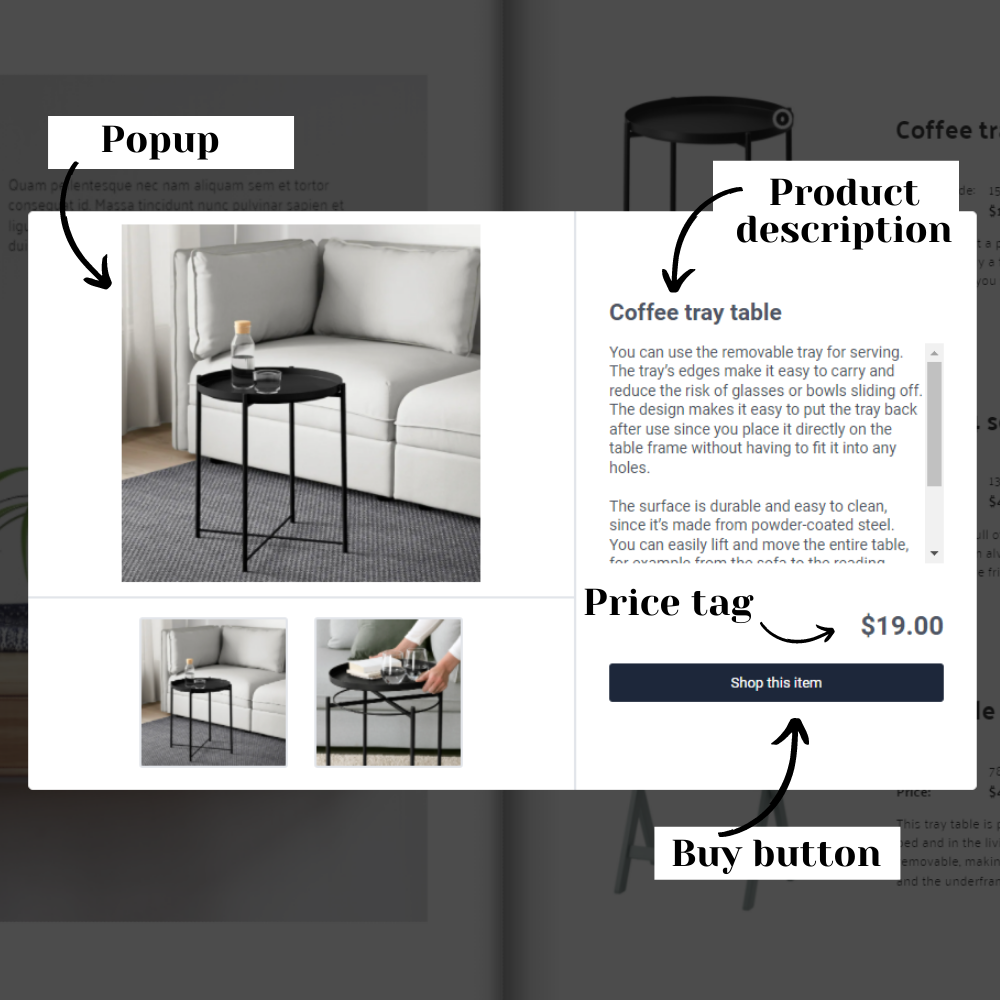 Interactive elements added in a flipbook