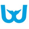 Blue Whale Apps Top App Development Companies