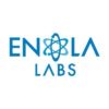 Enola Labs Top App Development Companies USA