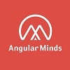 Angular Minds Best web Development Company