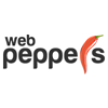 Web Peppers Top Software Development Company