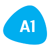 A1 Future Technologies Best web Development Company