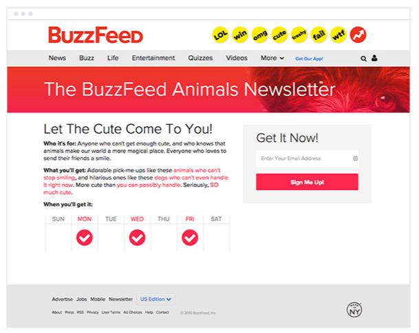 BuzzFeed email marketing